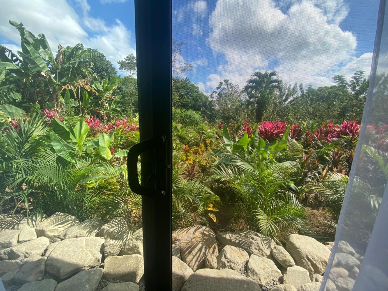 Toucan Home La Fortuna Luaran gambar